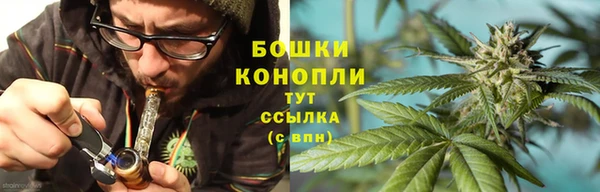 шишки Балахна