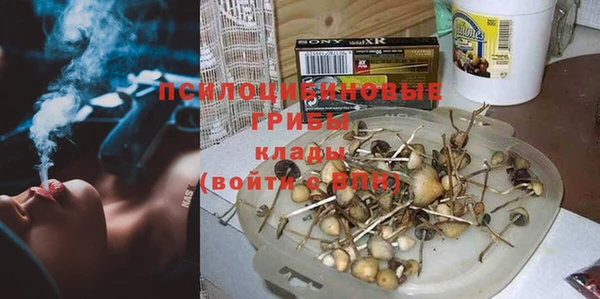 шишки Балахна