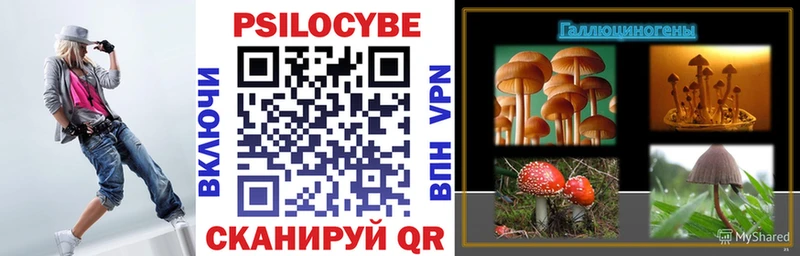 hydra как войти  как найти закладки  Олонец  Псилоцибиновые грибы Cubensis 